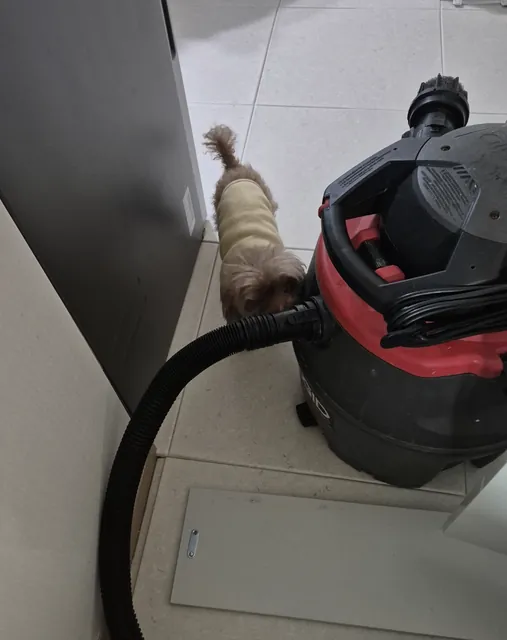 작업 전에 꺼내 둔 습식청소기