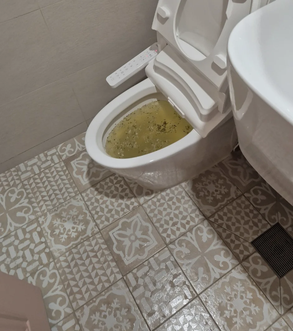 오물이 차오른 채 막혀 있는 변기